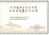 2009新中國成立六十百項經典精品工程證書